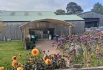 Blue Diamond Garden Centres - Holt Garden Centre