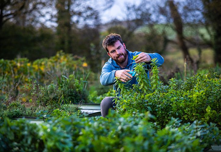 GARDENA Huw Richards Top Of The Plots
