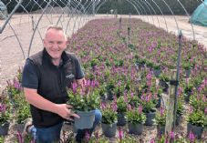 Colin Stanley, Garden Centre Sales Manager at Wyevale Nurseries, with Salvia Rose Marvel