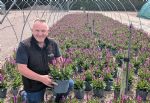 Colin Stanley, Garden Centre Sales Manager at Wyevale Nurseries, with Salvia Rose Marvel