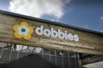 Dobbies great pic