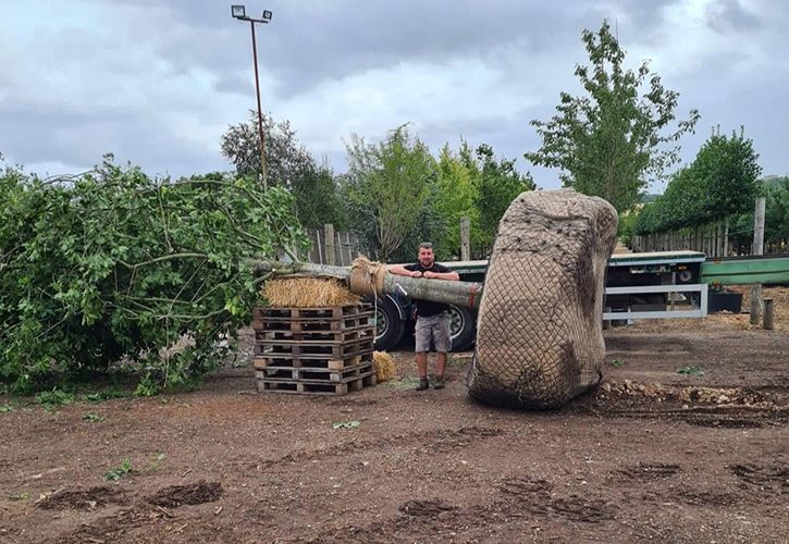 David Williams - Wyevale Nurseries' Production Development Manager