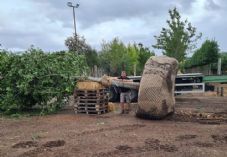 David Williams - Wyevale Nurseries' Production Development Manager