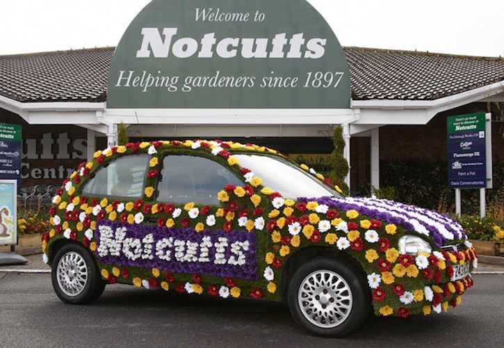 Notcutts