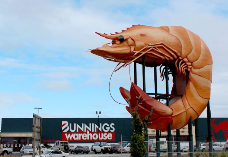 Bunnings store - shrimp