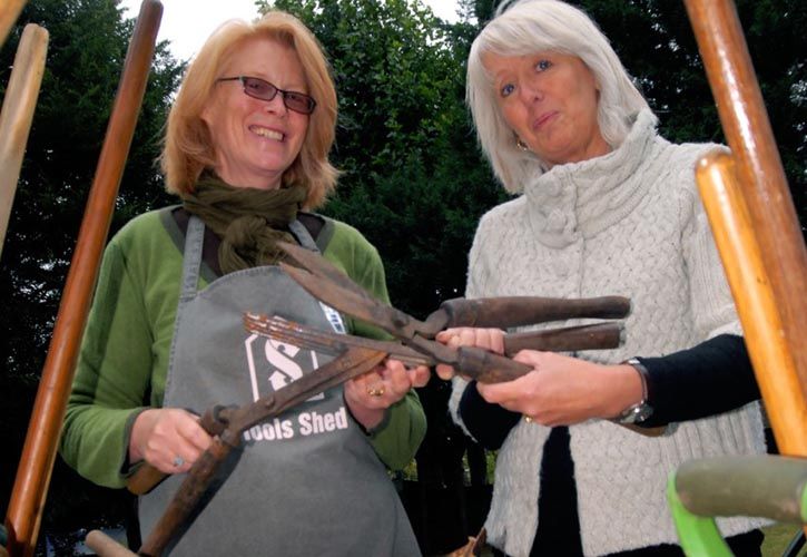 Wyevale Garden Centres Tools for Change 725 x 500