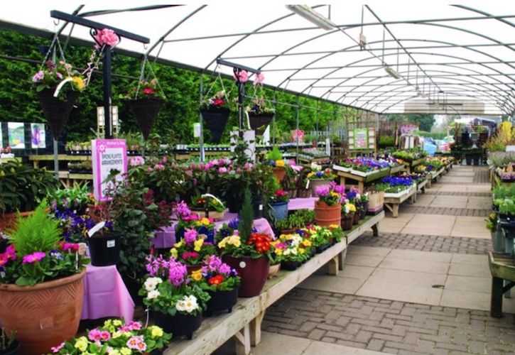 Wyevale Sells Enfield Garden Centre