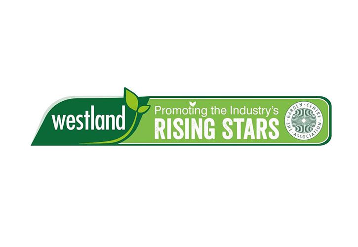 Westland Rising Stars 725 x 500.jpg