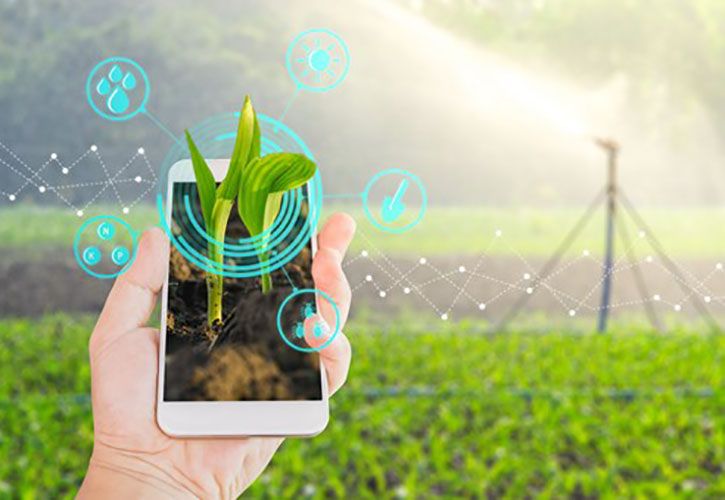 garden__technology 725 x 500.jpg