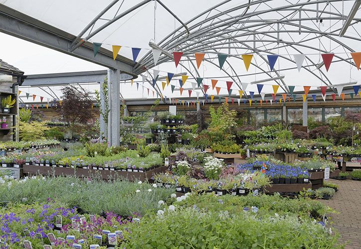 Monkton Elm Garden & Pet Centre 725 x 500.jpg