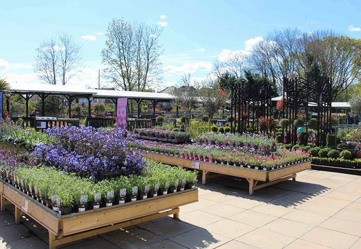 Squires Garden Centre Twickenham - GCA PR - Aug 18 - 725 x 500.jpg