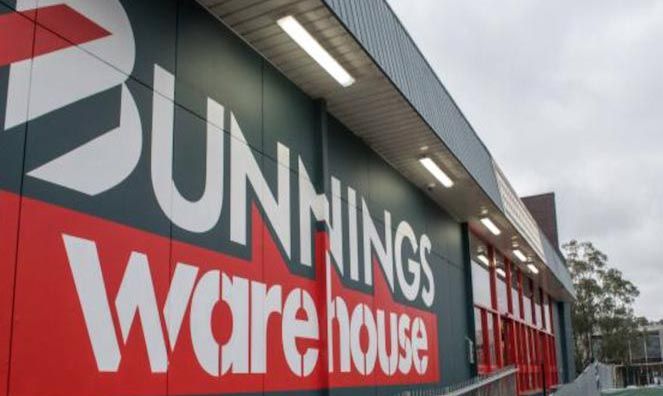 Bunnings side angle 725 x 500.jpg