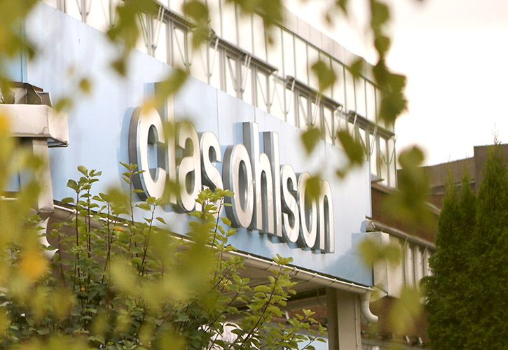 Clas Ohlson leaves.jpg