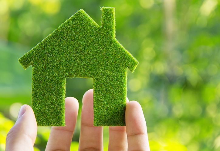 Green Home environment.jpg
