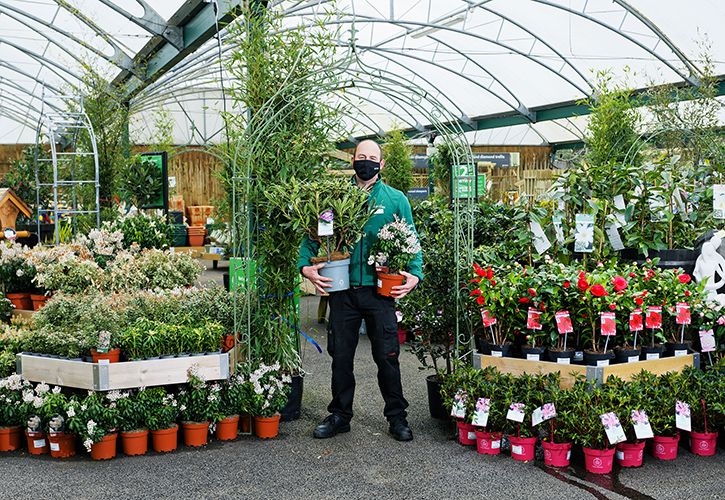 UNP Dobbies 42033 Swansea012 725