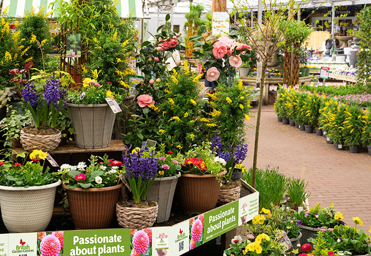 /live/news/wysiwyg/BGC garden centre .jpg