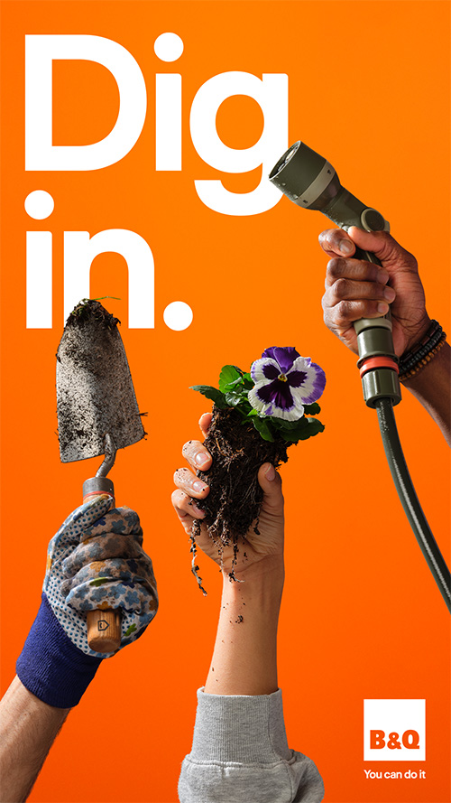 /live/news/wysiwyg/BQ Dig In 500.jpg