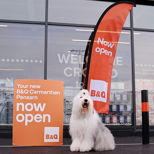 /live/news/wysiwyg/BQ Dulux dog Carmarthen.jpg