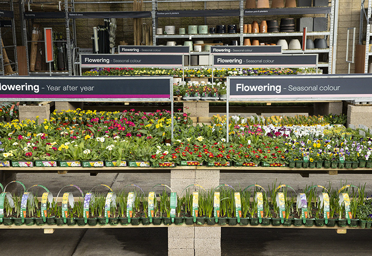 /live/news/wysiwyg/BQ Harringay garden centre.jpg