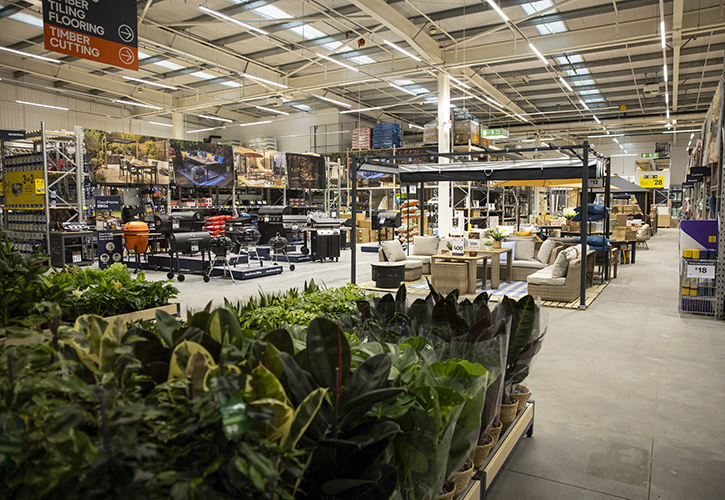 /live/news/wysiwyg/BQ Harringay plants.jpg