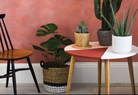 /live/news/wysiwyg/BQ Look Book apricot.jpg