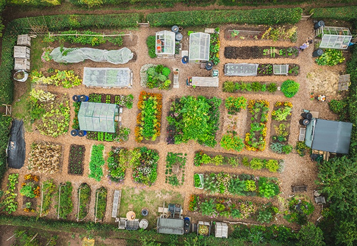/live/news/wysiwyg/Best Allotment Marketa Drone.jpg