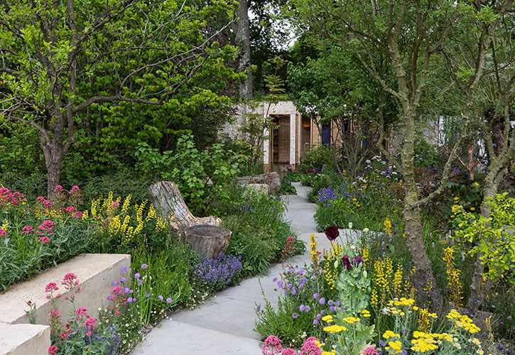 /live/news/wysiwyg/Copyright c RHS Neil Hepworth.jpg