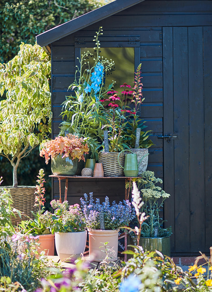 /live/news/wysiwyg/Dobbies Contemporary Country.jpg