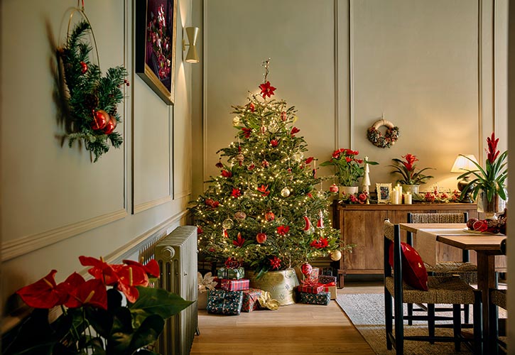 /live/news/wysiwyg/Dobbies Deck the Halls living room.jpg