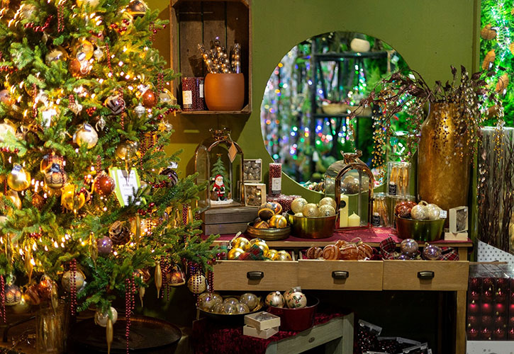/live/news/wysiwyg/Pic 5 Castle Gardens National Christmas Display Winner 2021 in the GC Category.jpg