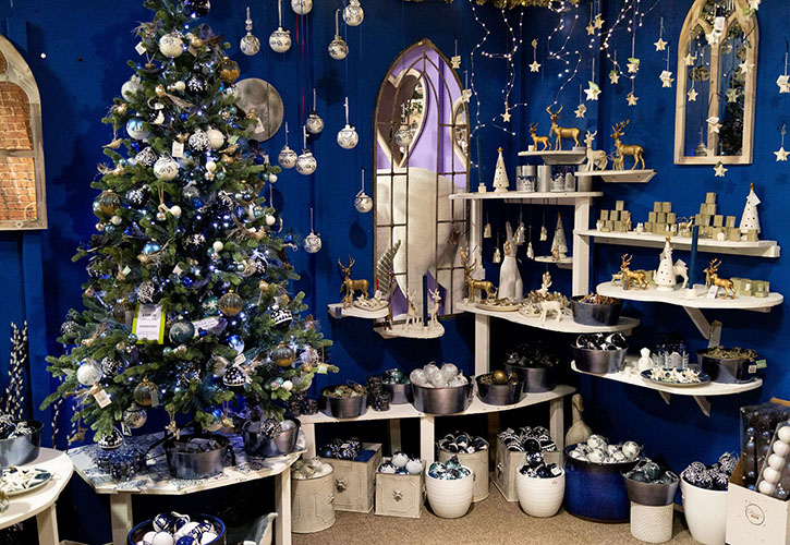 /live/news/wysiwyg/Pic 8 Castle Gardens National Christmas Display Winner 2021 in the GC Category.jpg