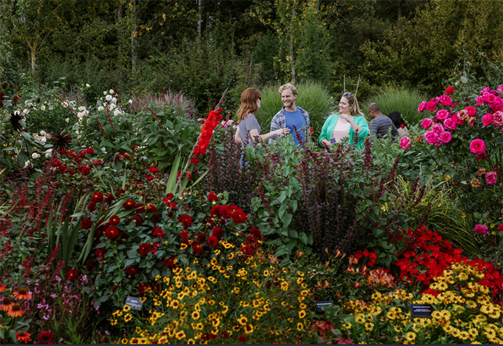 /live/news/wysiwyg/RHS Garden Hyde Hall.jpg
