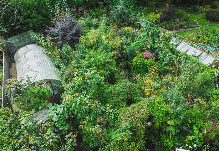 /live/news/wysiwyg/Rebecca Plot of theYear Best Garden 700.jpg
