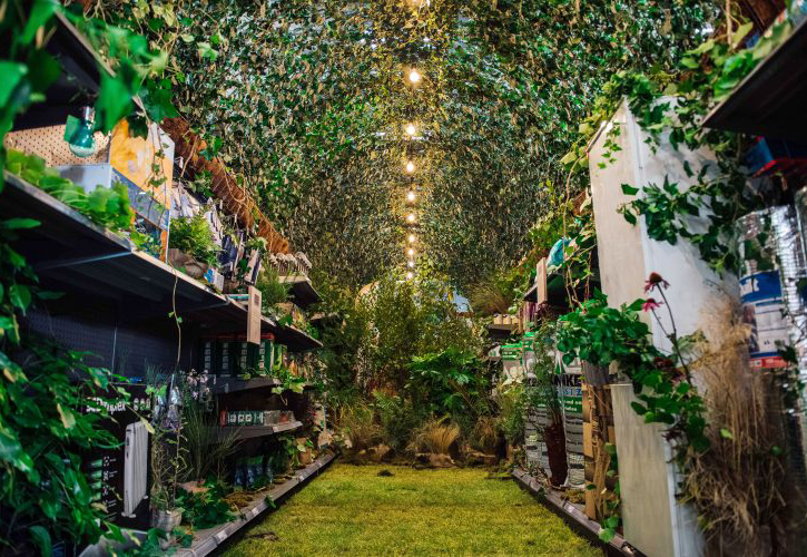 /live/news/wysiwyg/The Green Aisle 2.jpg
