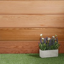 /live/news/wysiwyg/Timber Focus pic 5.jpg
