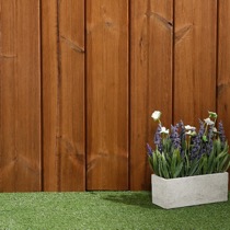 /live/news/wysiwyg/Timber Focus pic 6.jpg