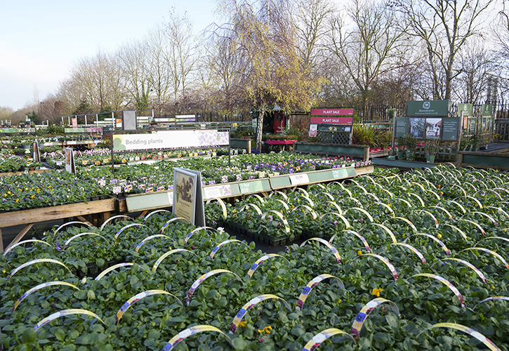 /live/news/wysiwyg/UNP Dobbies 47298 Moreton Park Refurbishment047.JPG