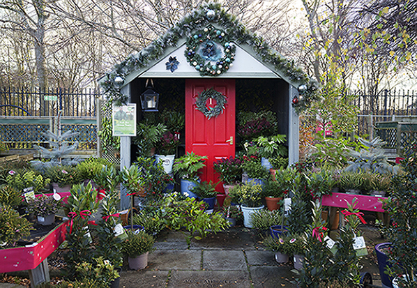 /live/news/wysiwyg/UNP Dobbies 47298 Moreton Park Refurbishment050 600.jpg