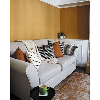 /live/news/wysiwyg/Valspar Paint Custom colour 350 low.jpg