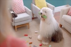 Dulux Colour Australia