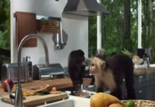 IKEA monkey video July 2015