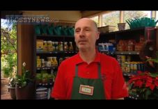 Bunnings parody advert 725 x 500