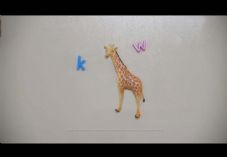 Lowe's giraffe 725 x 500