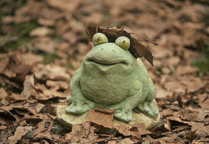 B&Q frog - 725 x 500