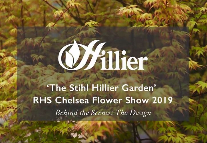 Hillier Chelsea Design Behind The Scenes 725 x 500.JPG