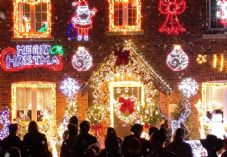 British Garden Centres Christmas Advert 2025